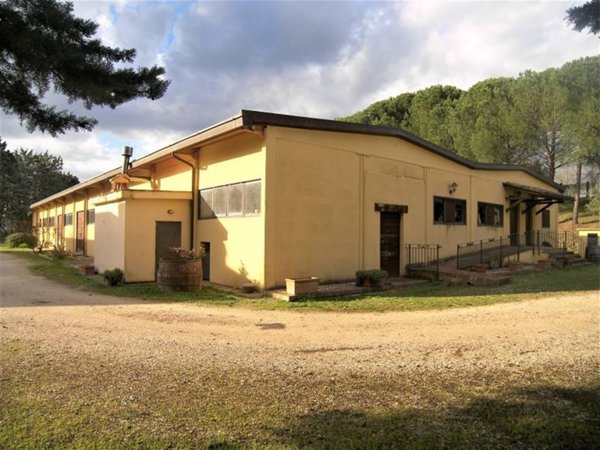 azienda agricola in vendita a Baschi