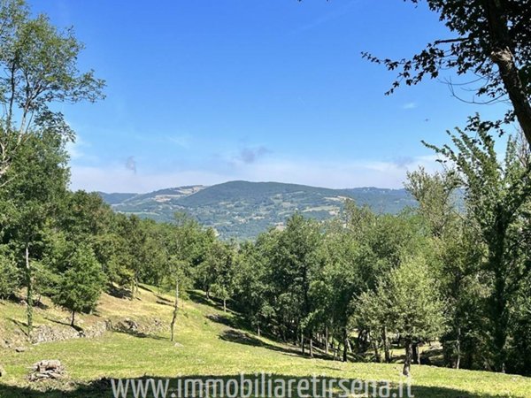 casale in vendita a Baschi