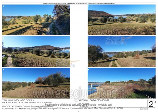 terreno agricolo in vendita a Baschi