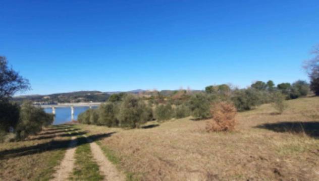 ufficio in vendita a Baschi