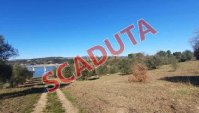 ufficio in vendita a Baschi