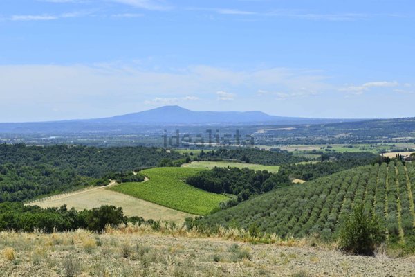 casale in vendita a Baschi