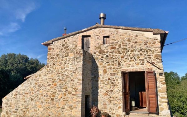 esavano in vendita a Baschi