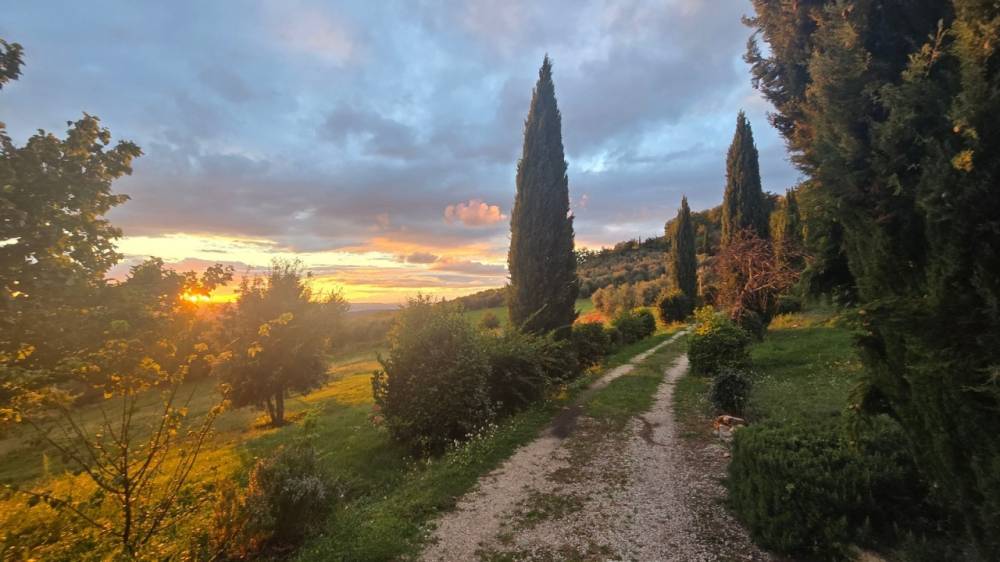 casa indipendente in vendita a Baschi