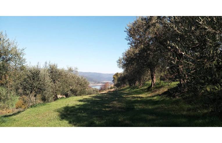 casa indipendente in vendita a Baschi