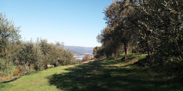 casa indipendente in vendita a Baschi