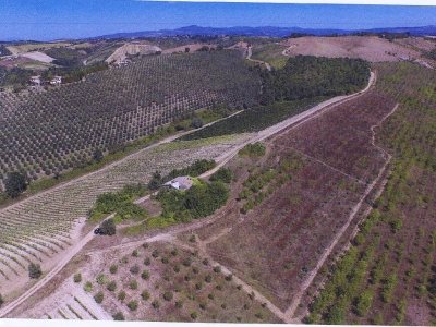 casa indipendente in vendita a Baschi