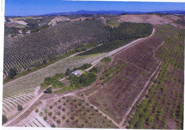 casa indipendente in vendita a Baschi