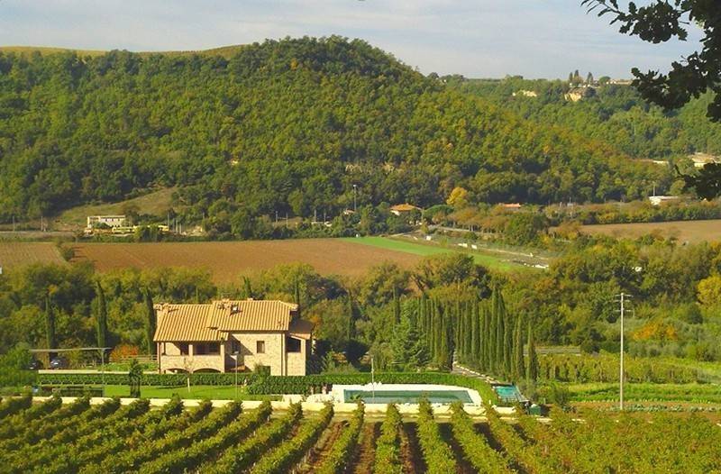 negozio in vendita a Baschi