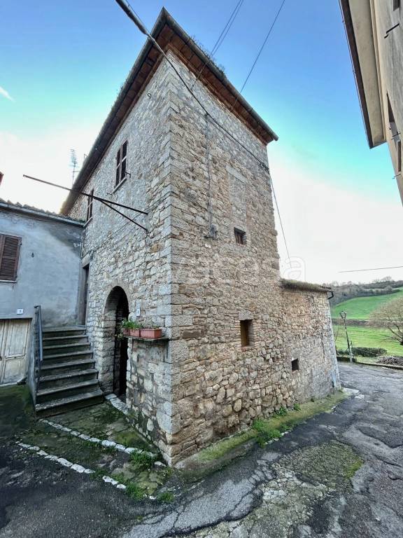 immagine annuncio 0 di 14