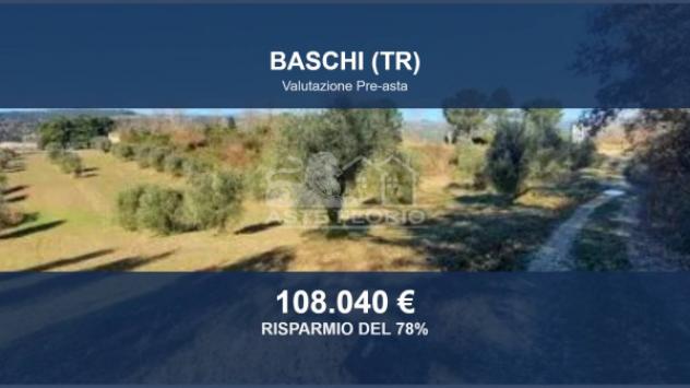 terreno agricolo in vendita a Baschi