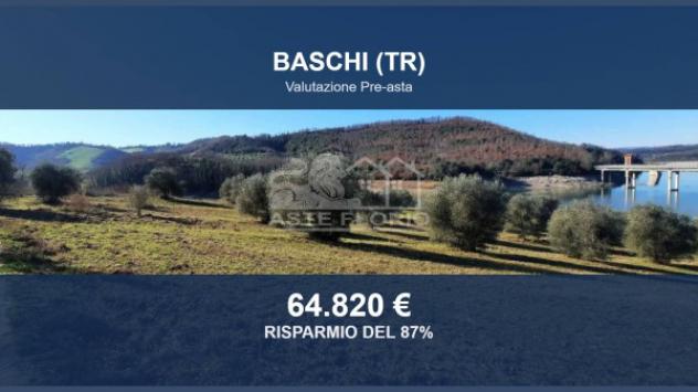 terreno agricolo in vendita a Baschi