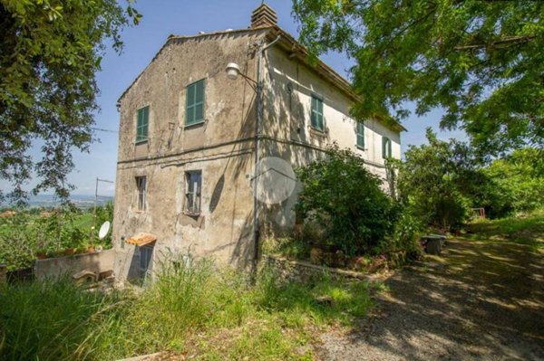 appartamento in vendita a Calvi dell'Umbria