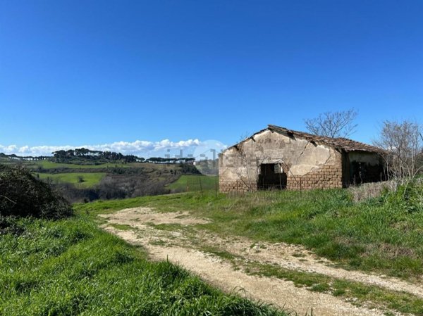 pentavano in vendita a Calvi dell'Umbria