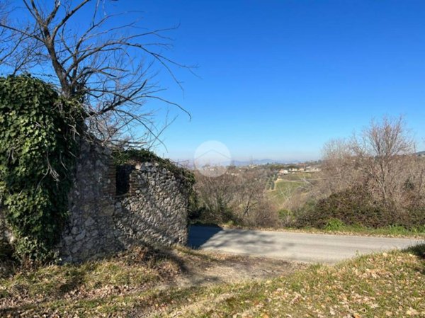 immagine annuncio 0 di 11