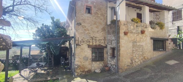 esavano in vendita a Calvi dell'Umbria