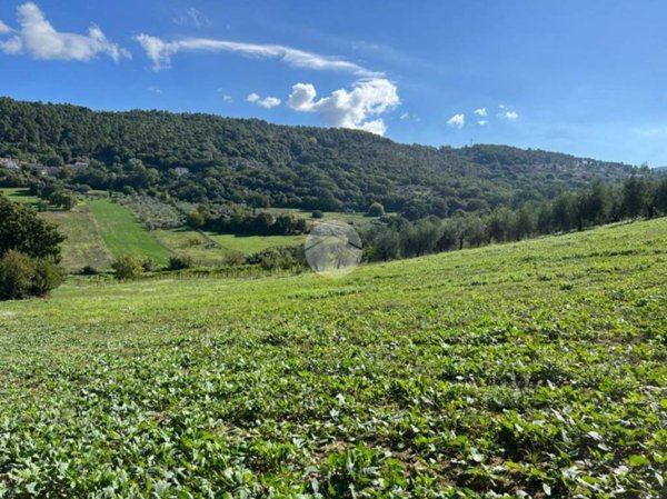 appartamento in vendita a Calvi dell'Umbria
