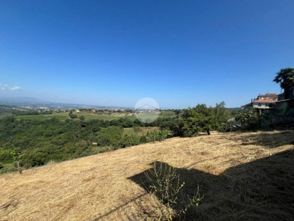 terreno agricolo in vendita a Calvi dell'Umbria