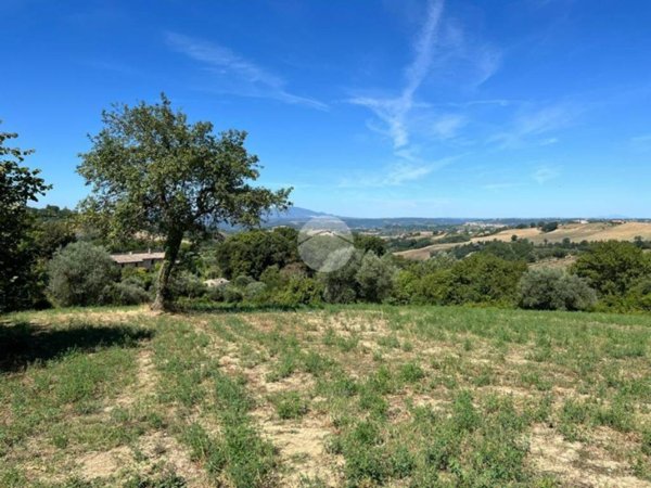 terreno agricolo in vendita a Calvi dell'Umbria