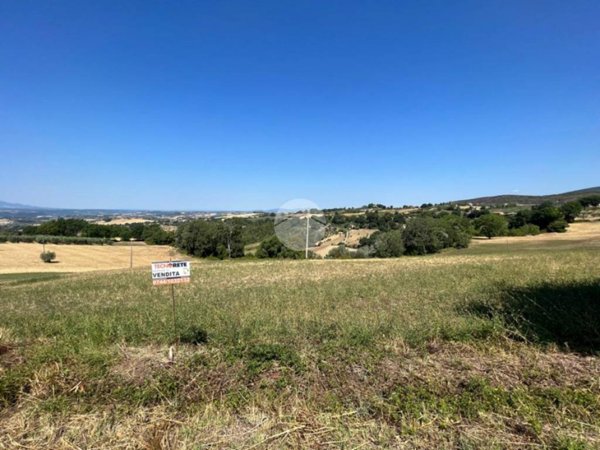 terreno agricolo in vendita a Calvi dell'Umbria