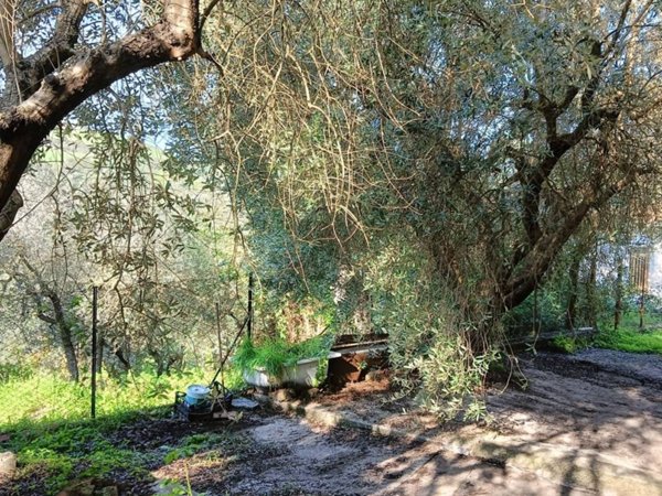 casa indipendente in vendita a Calvi dell'Umbria
