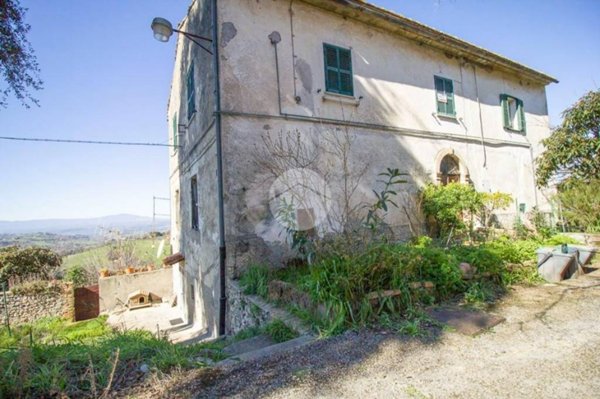 appartamento in vendita a Calvi dell'Umbria