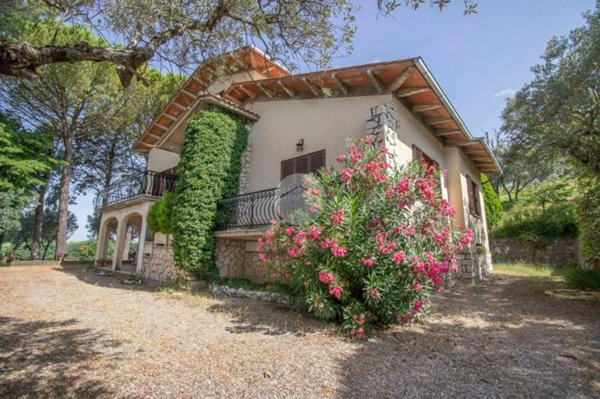 casa indipendente in vendita a Calvi dell'Umbria