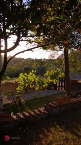 casa indipendente in vendita a Calvi dell'Umbria