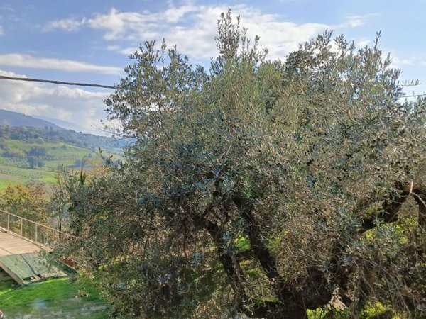 casa indipendente in vendita a Calvi dell'Umbria
