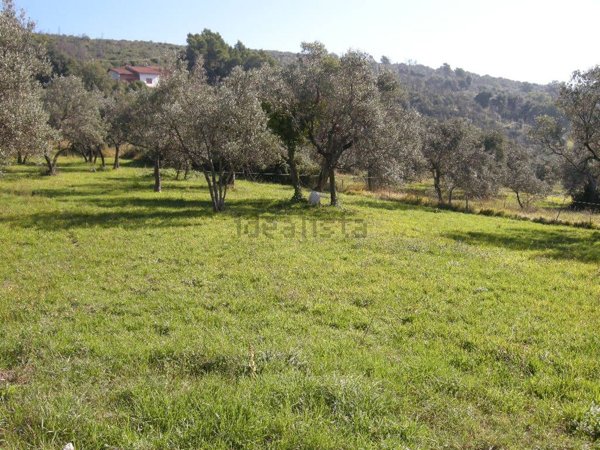 casa indipendente in vendita a Calvi dell'Umbria