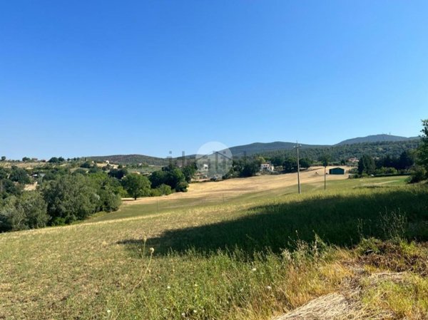 appartamento in vendita a Calvi dell'Umbria