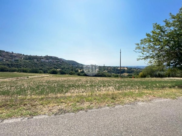 appartamento in vendita a Calvi dell'Umbria