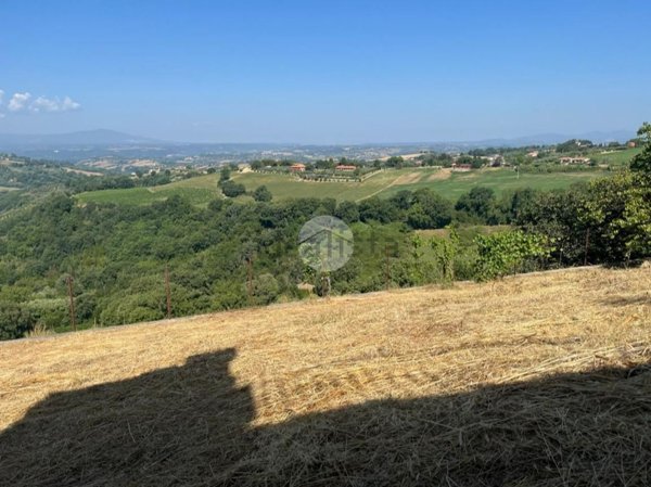 appartamento in vendita a Calvi dell'Umbria