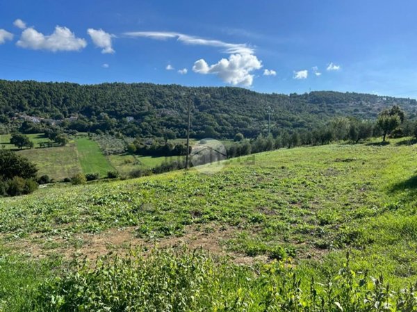 appartamento in vendita a Calvi dell'Umbria