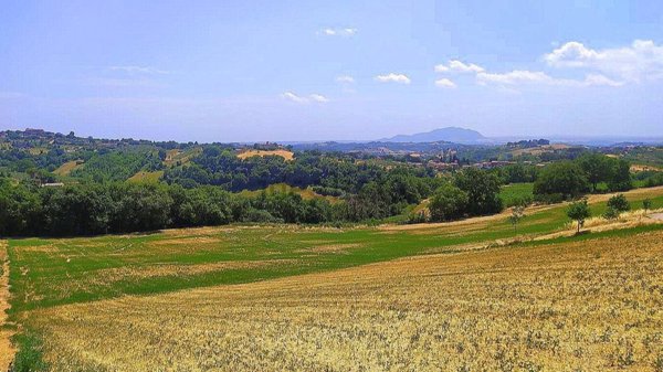 appartamento in vendita a Calvi dell'Umbria