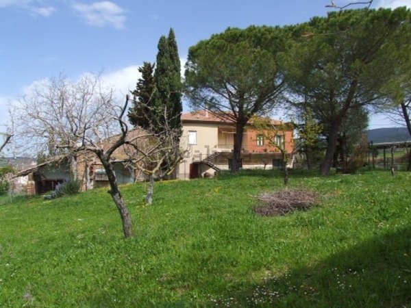 locale di sgombero in vendita a Calvi dell'Umbria in zona Piloni