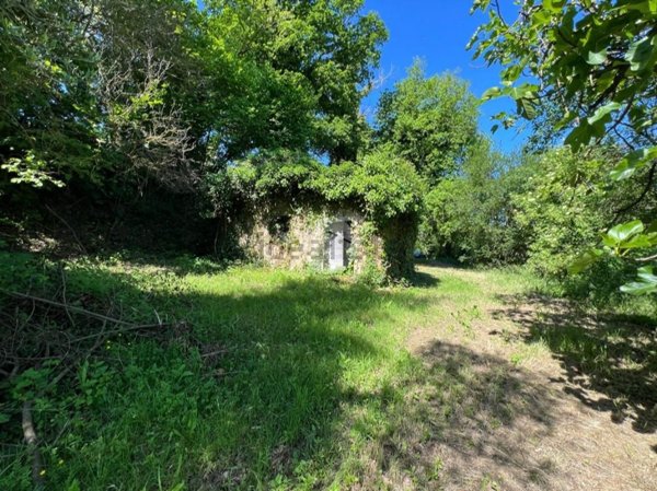 casa indipendente in vendita a Calvi dell'Umbria