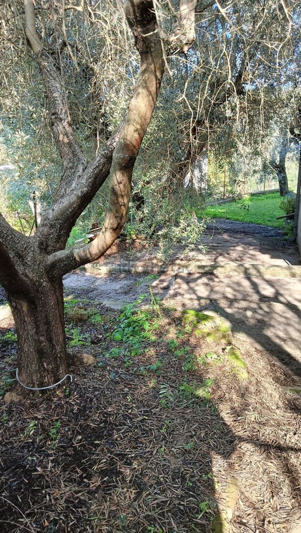casa indipendente in vendita a Calvi dell'Umbria