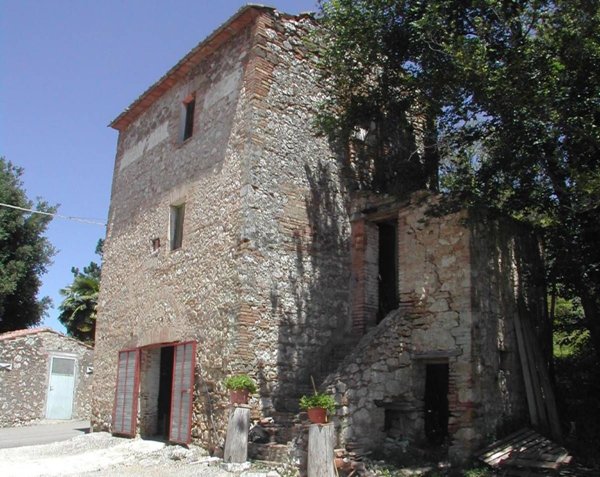 esavano in vendita a Calvi dell'Umbria