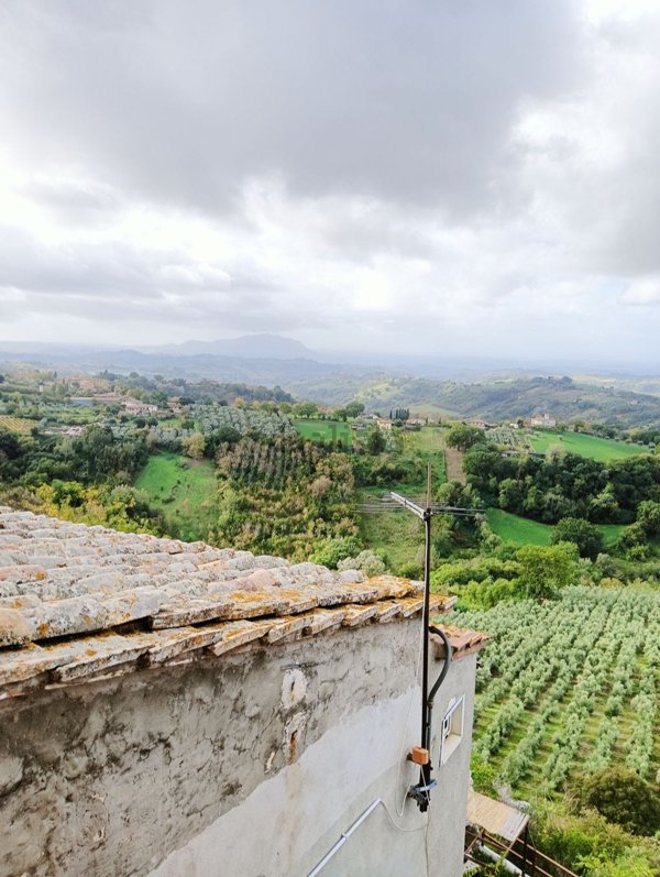 appartamento in vendita a Calvi dell'Umbria