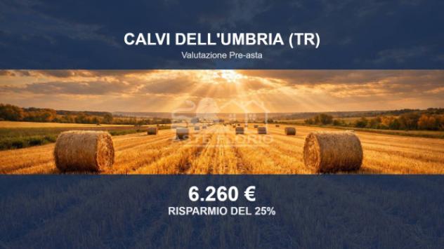 terreno agricolo in vendita a Calvi dell'Umbria