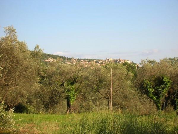 terreno edificabile in vendita a Calvi dell'Umbria in zona Poggiolo