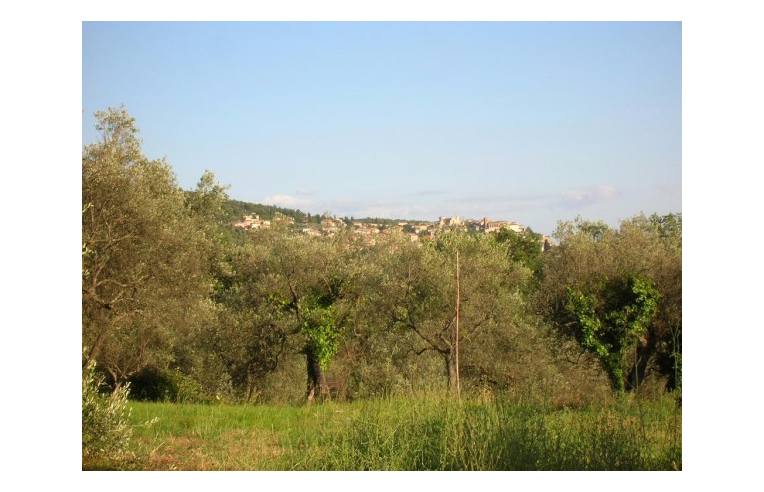 terreno edificabile in vendita a Calvi dell'Umbria in zona Poggiolo