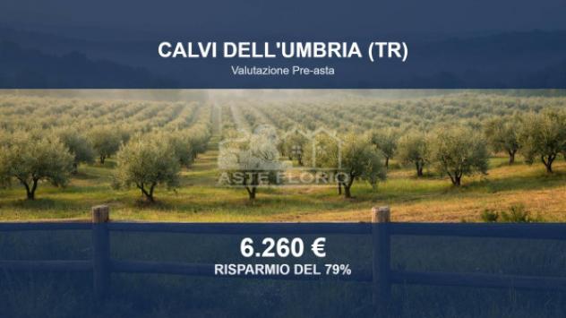 terreno agricolo in vendita a Calvi dell'Umbria