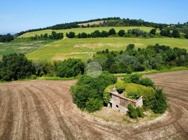 casa indipendente in vendita a Calvi dell'Umbria