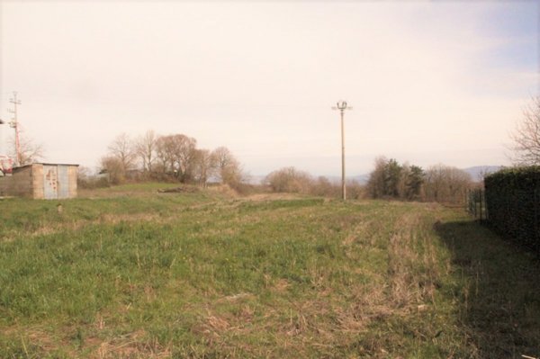 terreno agricolo in vendita a Castel Giorgio