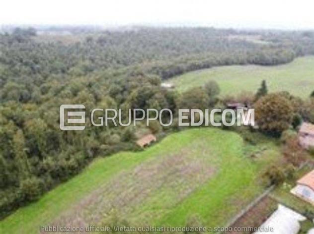 terreno agricolo in vendita a Castel Giorgio
