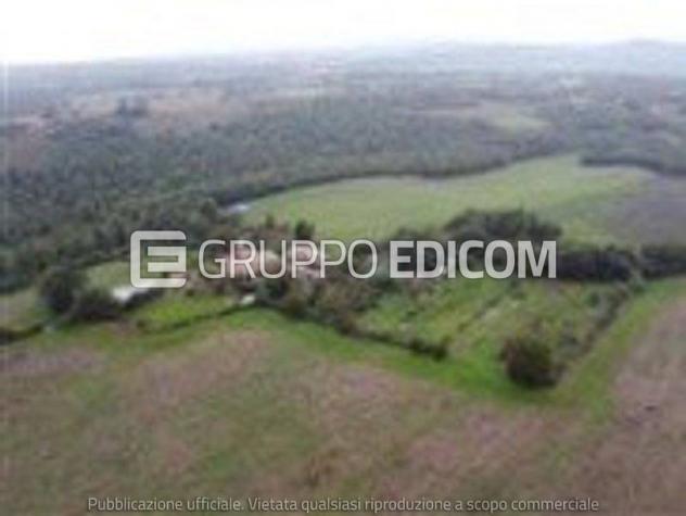 terreno agricolo in vendita a Castel Giorgio