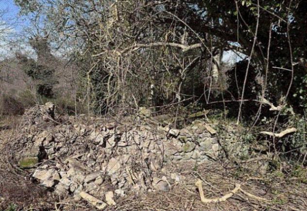 casa indipendente in vendita a Castel Giorgio