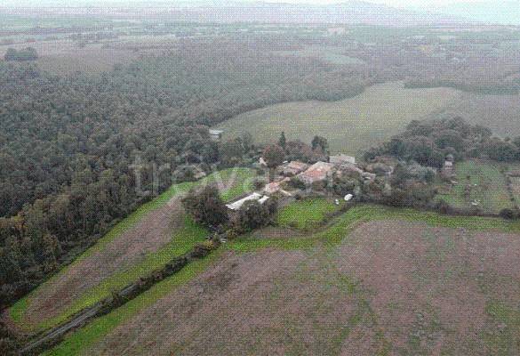 terreno agricolo in vendita a Castel Giorgio